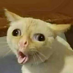MartyChonx's Avatar'