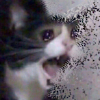 DatGuyLucas_'s Avatar'