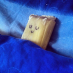 tamalitodemole's Avatar'