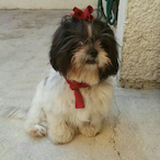 diegofut_14's Avatar'