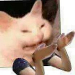 Finoj's Avatar'