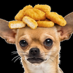 crispy_doggo's Avatar'