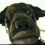 YaBoiChronos_'s Avatar'