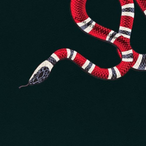 Gucci_Ic3's Avatar'
