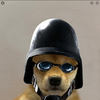 SwooopZLul's Avatar'