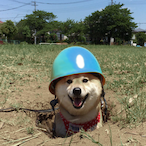 tyzen.'s Avatar'