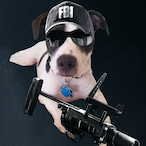 deaadrr's Avatar'