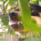 HolyDuck04's Avatar'