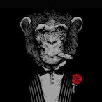 amirfun9's Avatar'
