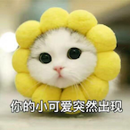 WVVVVVWW's Avatar'