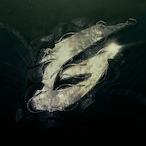 guizinN2006_.'s Avatar'