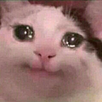 DJMIIOKZ's Avatar'