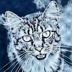 Zxri's Avatar'