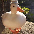 DUCK-E-'s Avatar'