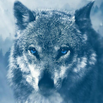 Syxnzo's Avatar'