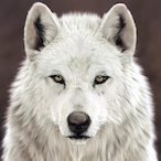 VScrub24's Avatar'