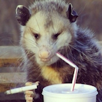 Trash.Rat's Avatar'