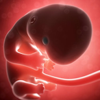 RartedFetus's Avatar'