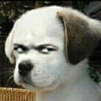 MARKVery's Avatar'