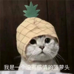 Ya-Gong's Avatar'