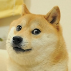 spotygog's Avatar'