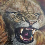 A_Big_Lion's Avatar'