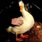 ducking-hell's Avatar'