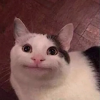 Joocy.WRLD's Avatar'