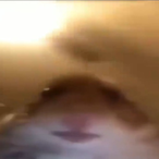JeeEfBe's Avatar'