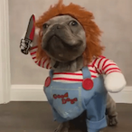 benaongunner's Avatar'