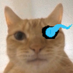 ThelDallasdog21's Avatar'