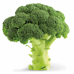 Cabbage.brocoli's Avatar'