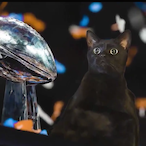 Datboinija's Avatar'