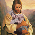 CarllTheLlama's Avatar'