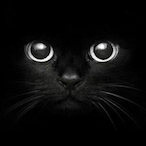 slammedby_r4c67's Avatar'