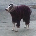 Scupgus's Avatar'