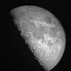NoSound_FUXX's Avatar'
