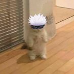 szoojin's Avatar'