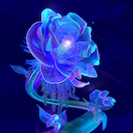 ja_ey's Avatar'