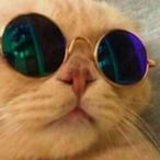 AYO.FR3D's Avatar'