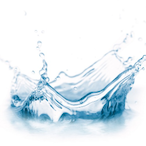 moist_girl's Avatar'