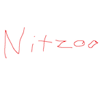 Nitzoo's Avatar'