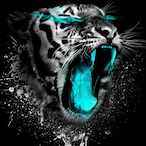 Salasar0101's Avatar'