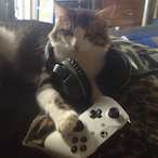 Femboy_Jackal's Avatar'