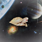 Turtle-.-'s Avatar'