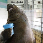 GuandaliusPooch's Avatar'