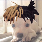 NATHANtheNOOB13's Avatar'
