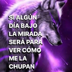 unseeded-turf32's Avatar'