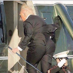 Donnys__Dumpy's Avatar'