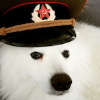 Skagen_Macka's Avatar'